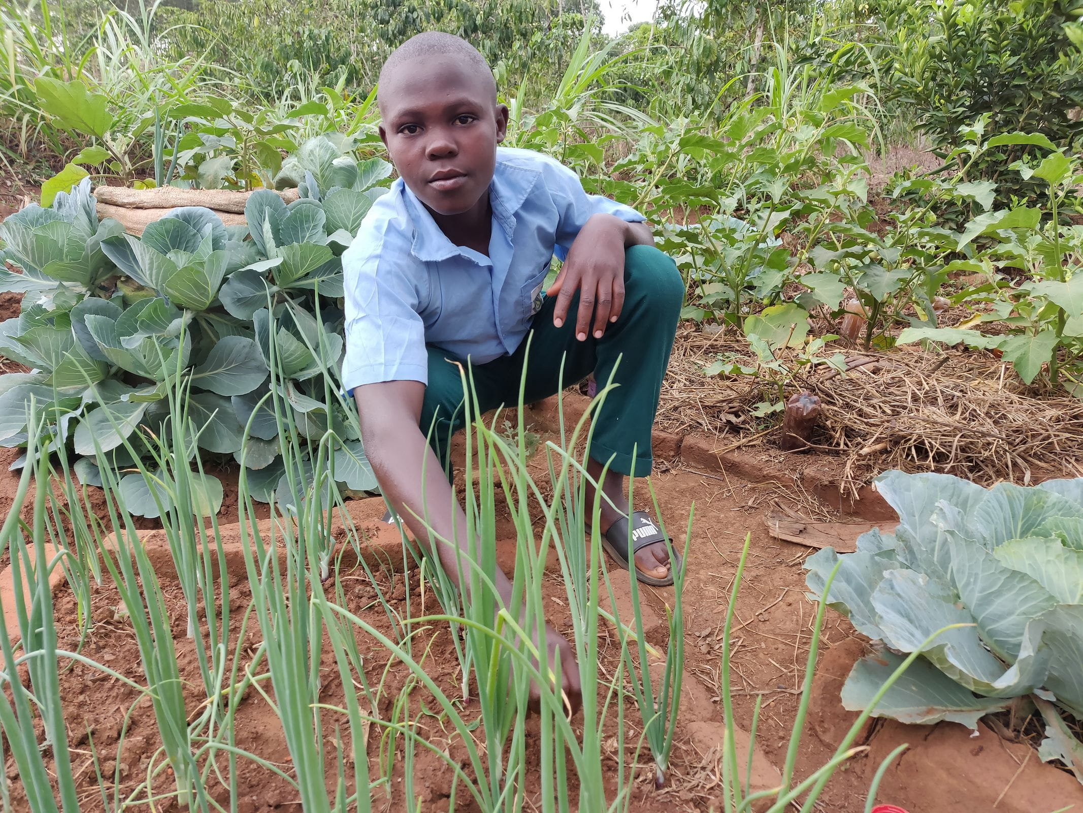 Ein Junge aus Uganda hockt in seiner blau-grünen Schuluniform vor einem seiner Beete in seinem Garten. (Quelle: Katharina Drzisga)