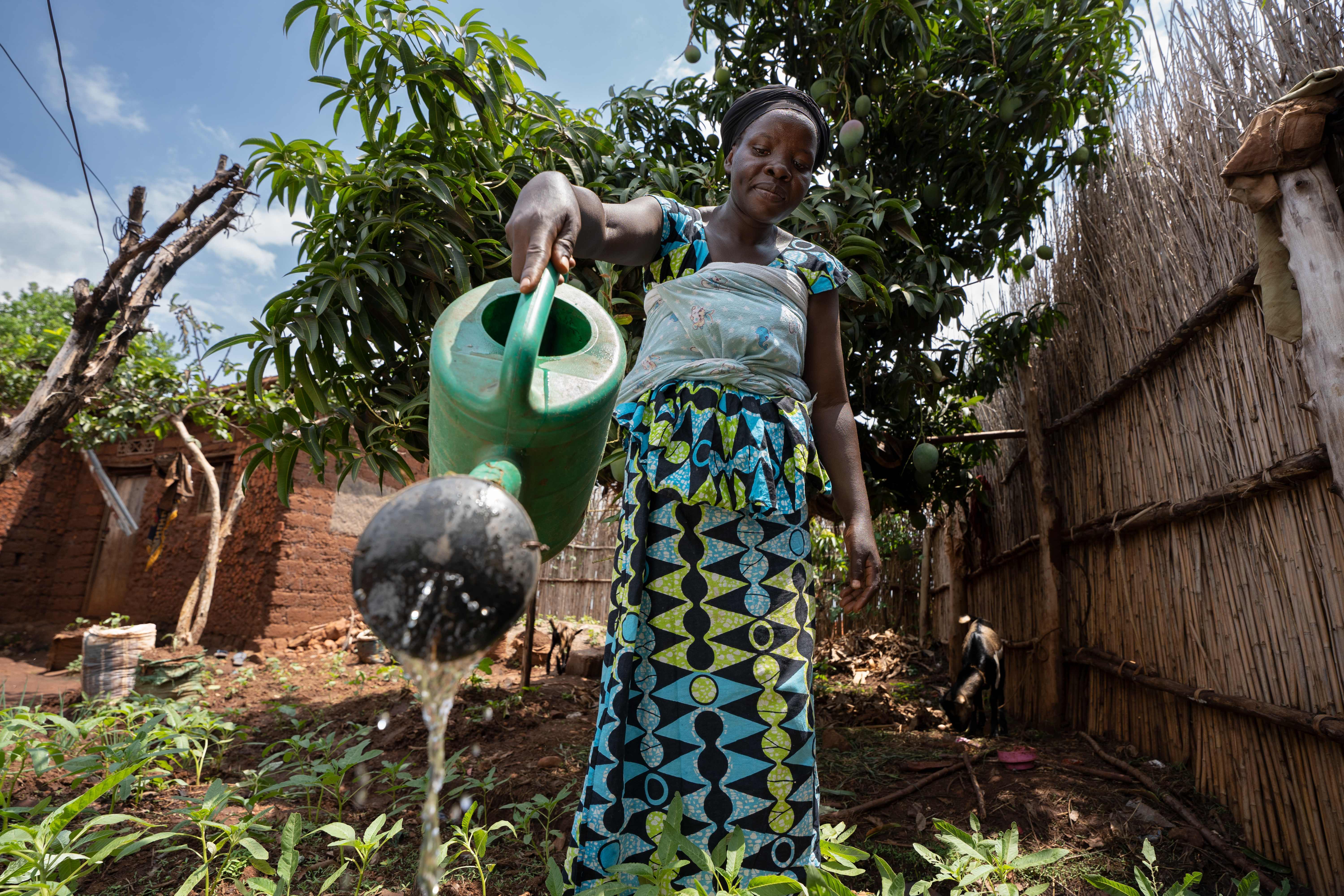 Burundi: Eine Frau gießt ihren Acker.