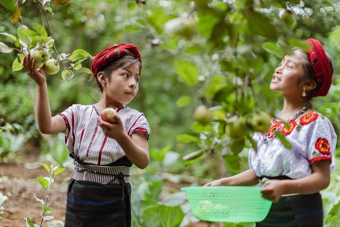 Hausbesuch II Weberei - PROJEKT Nr.: 80036 und 80039 - Hausbesuch am Sonntag den 05.08.2018 in Huehuetenango. Foto: Jakob Studnar / Kindernothilfe Hausbesuch II Weberei - PROJEKT Nr.: 80036 und 80039 - Hausbesuch am Sonntag den 05.08.2018 in Huehuetenango. Foto: Jakob Studnar / Kindernothilfe