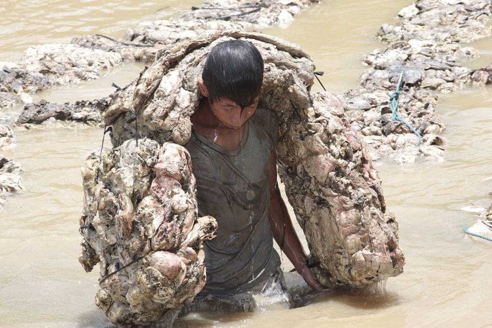 Jugendlicher schleppt Gummi zum Abtransport Vom Fluss zu Lastwagen. Foto: Christian Herrmanny Jugendlicher schleppt Gummi zum Abtransport Vom Fluss zu Lastwagen. Foto: Christian Herrmanny