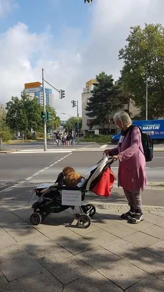 Bettina Brümann, Arbeitskreis Berlin und Arbeitskreis Potsdam-Falkensee, wandert mit ihrer Tochter und ihrem Hund quer durch Berlin, um Spenden für Corona-Projekte der Kindernothilfe zu sammeln.