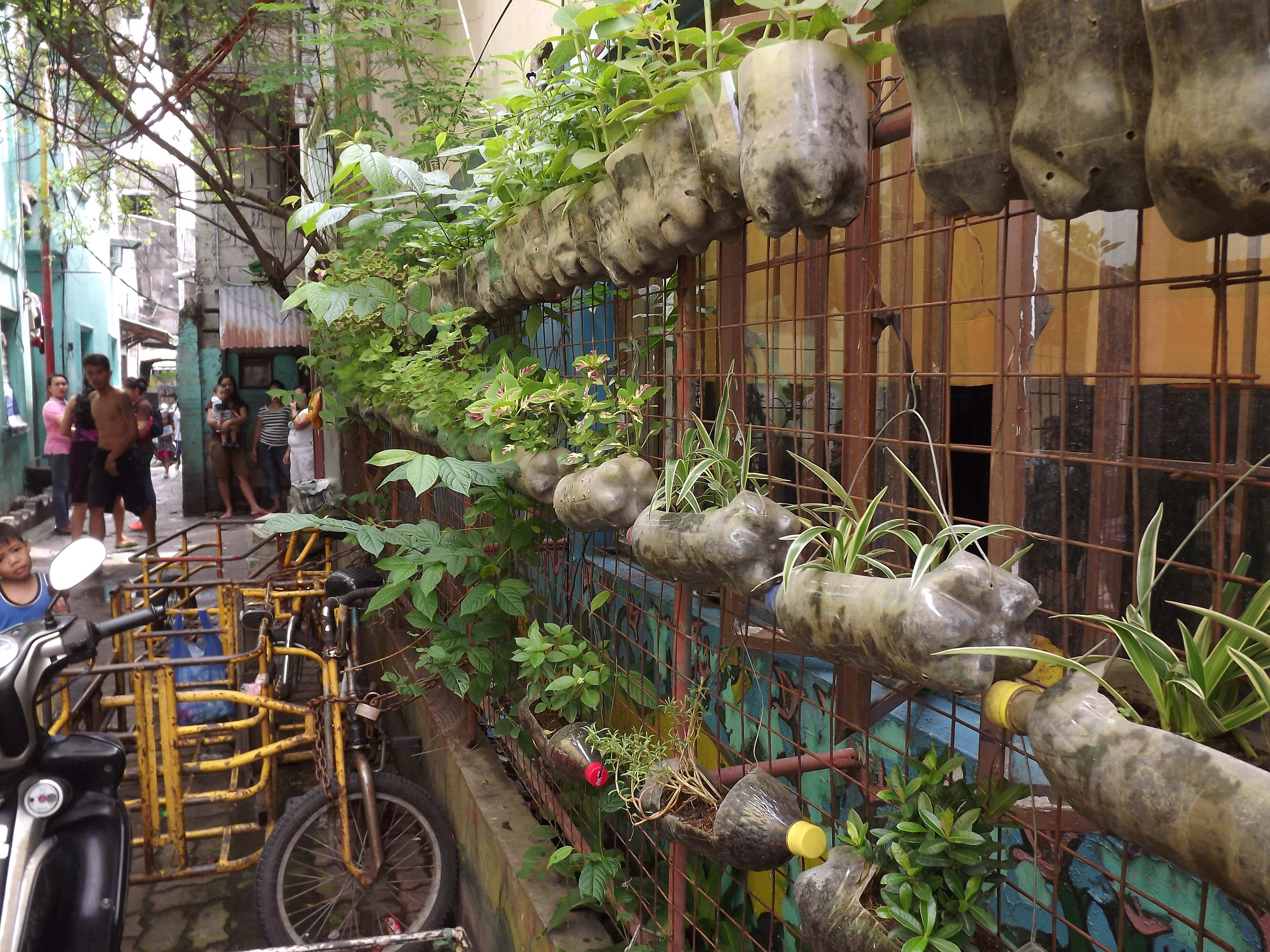 Nutzpflanzen wachsen in alten Plastikflaschen. (Quelle: Kindernothilfe-Partner)