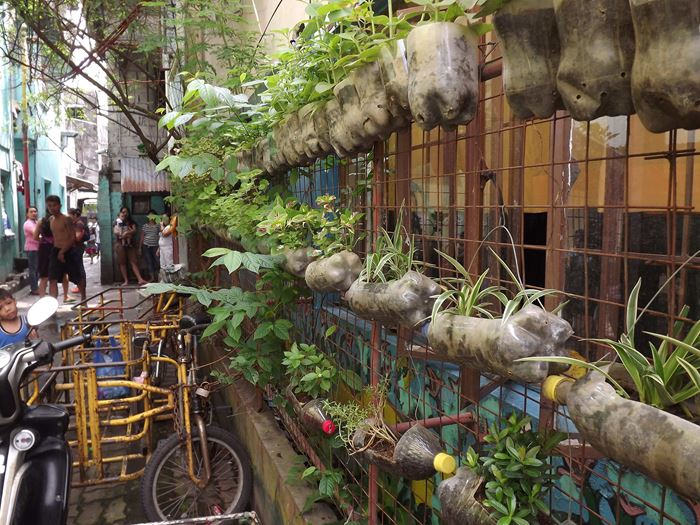 Nutzpflanzen wachsen in alten Plastikflaschen. (Quelle: Kindernothilfe-Partner) Nutzpflanzen wachsen in alten Plastikflaschen. (Quelle: Kindernothilfe-Partner)