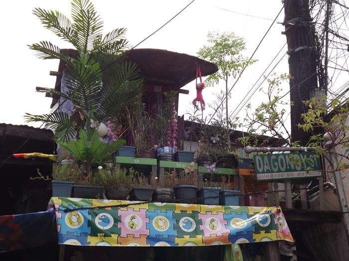 Eine Hütte in Manila bewachsen mit Nutzpflanzen. (Quelle: Kindernothilfe-Partner)