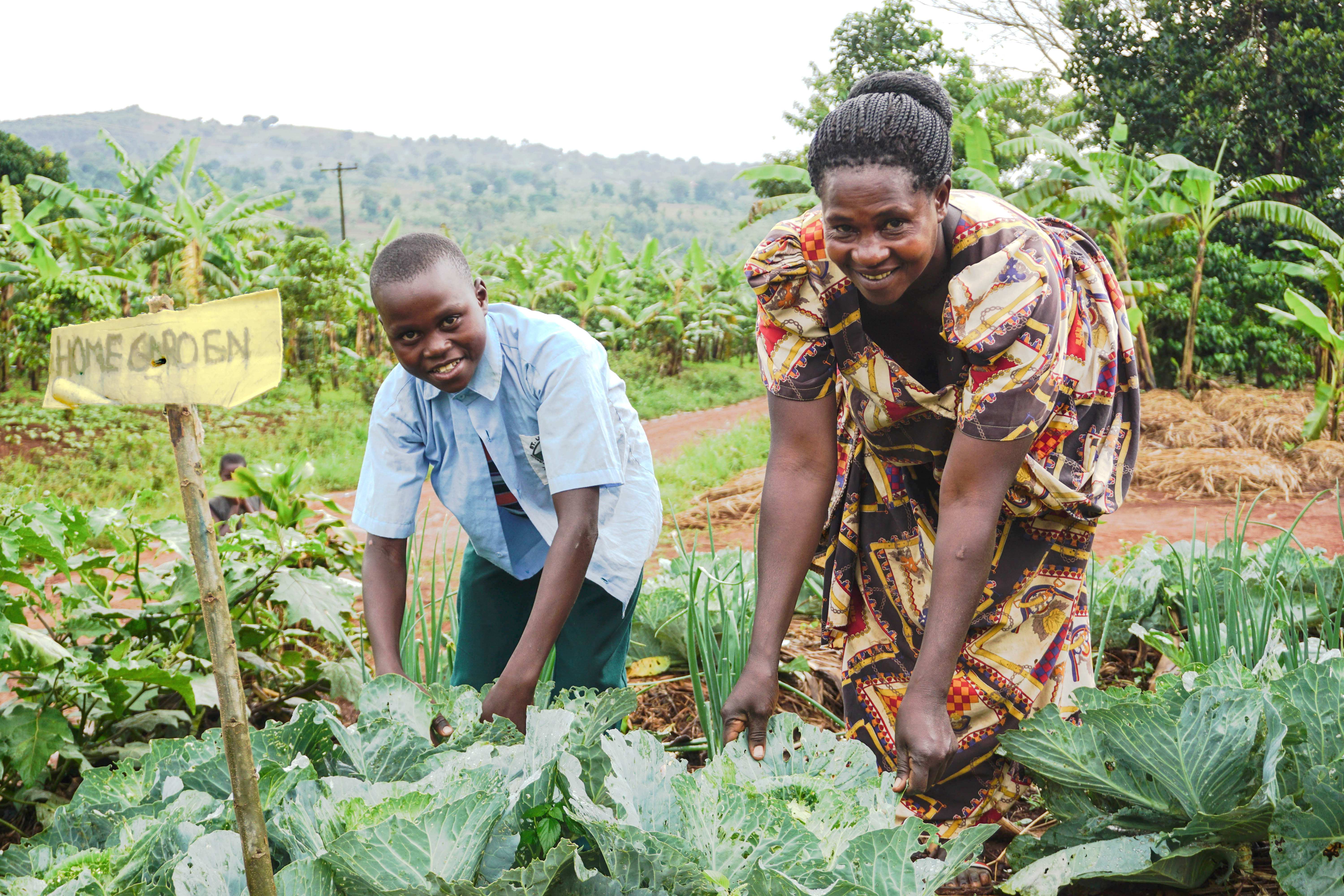 Ein Junge und eine Mutter kümmern sich um ihre Ernte auf einem landwirtschaftlich genutzten Gebiet in Uganda SHG Gruppe Quelle Ludwig Grunewald, Kindernothilfe