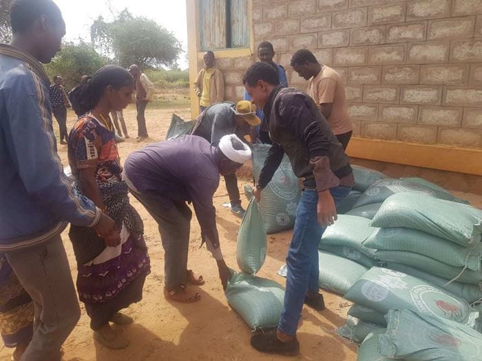 Menschen in der Dürreregion im Süden Äthiopiens erhalten Saatgut und Lebensmittel zur Notfallversorgung. (Quelle: Projektpartner)