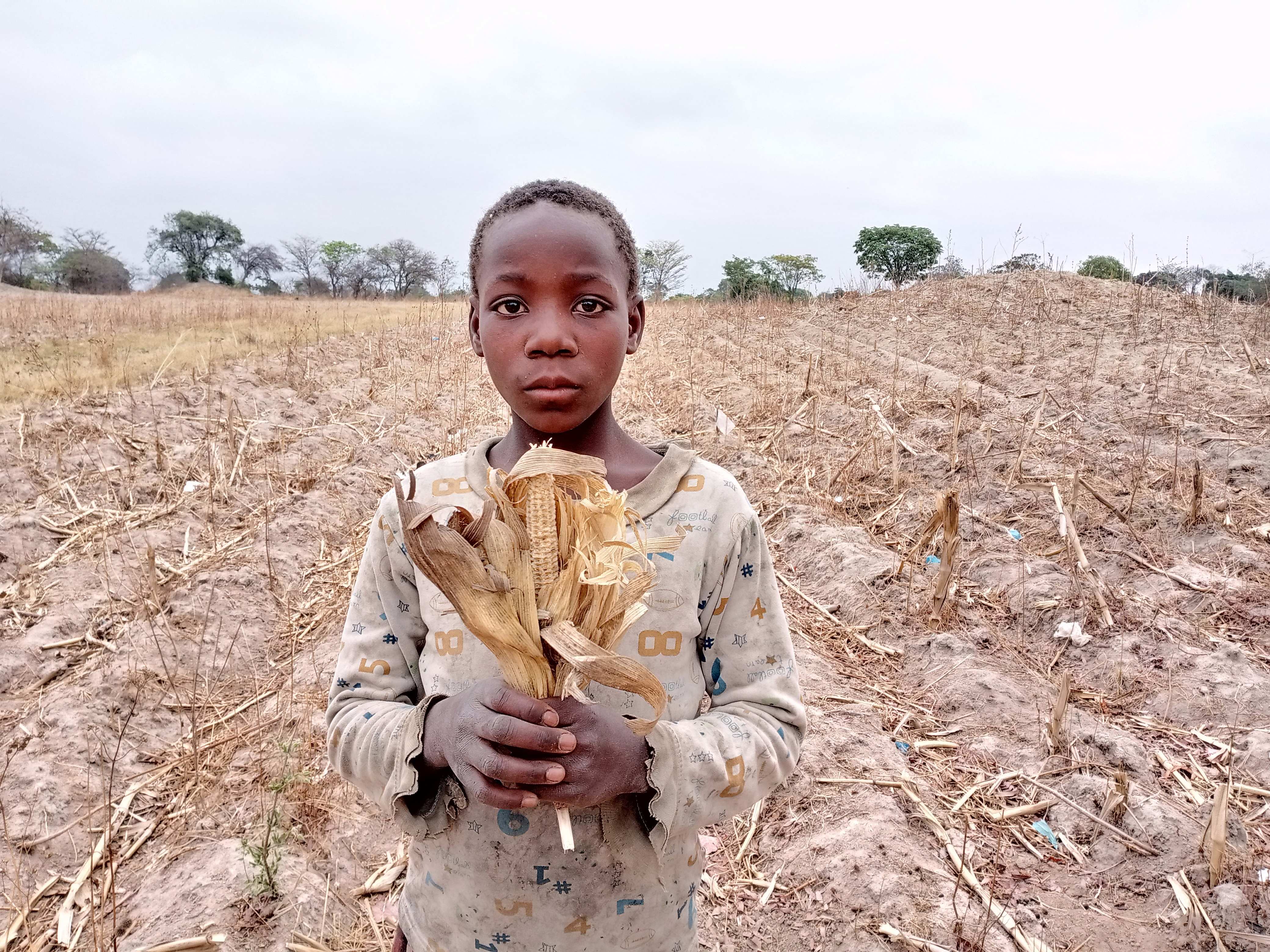 Verdorrte Ernten verstärken die Armut der Familien und den Hunger der Kinder (Foto: Kindernothilfepartner) Verdorrte Ernten verstärken die Armut der Familien und den Hunger der Kinder (Foto: Kindernothilfepartner)