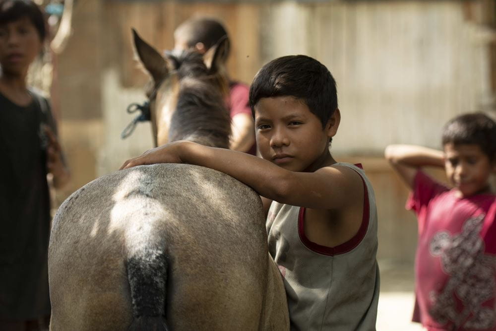 Rodrigo mit seinem Pferd (Quelle: Christian Nusch)