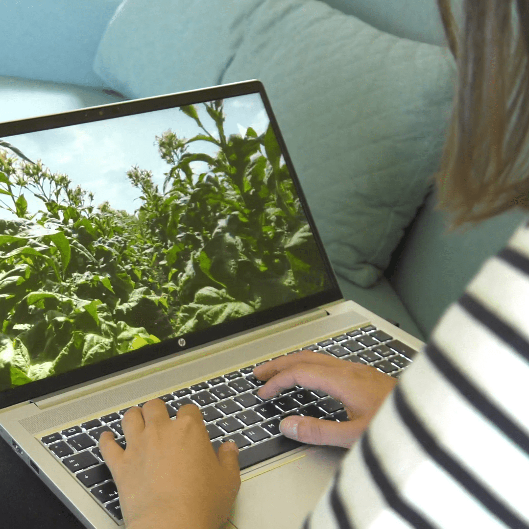 Bilder Gamechanger Week Newsletter