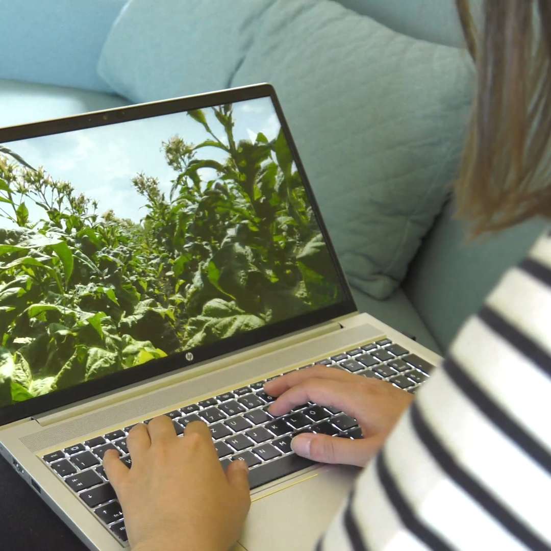 Bilder Gamechanger Week Newsletter Bilder Gamechanger Week Newsletter