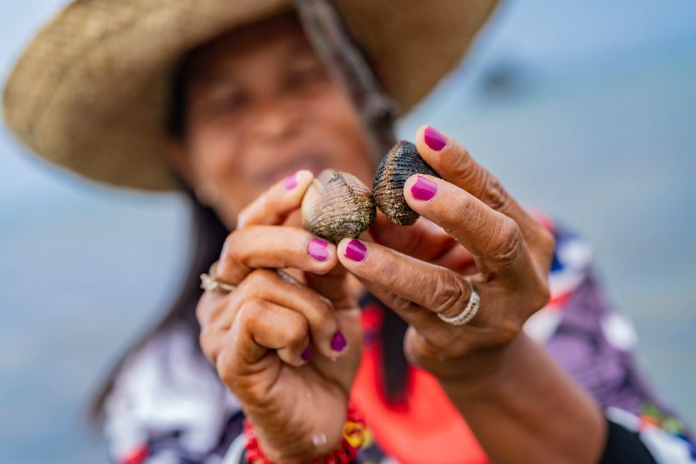 Eine Frau hält eine Muschel, die sie im Seegras gefunden hat, ins Bild (Quelle: Jakob Studnar)