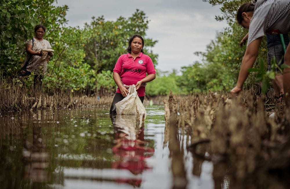Projektteilnehmerinnen sammeln Müll aus dem Wasser und den Mangroven (Quelle: Jakob Studnar)