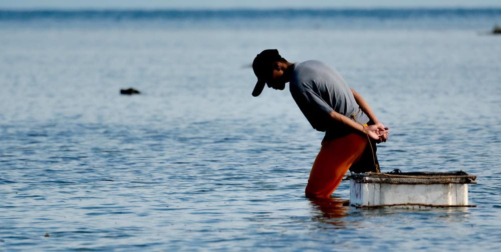 Philippinen, Mann steht im Wasser (Quelle: KNH - Jakob Studnar) Philippinen, Mann steht im Wasser (Quelle: KNH - Jakob Studnar)
