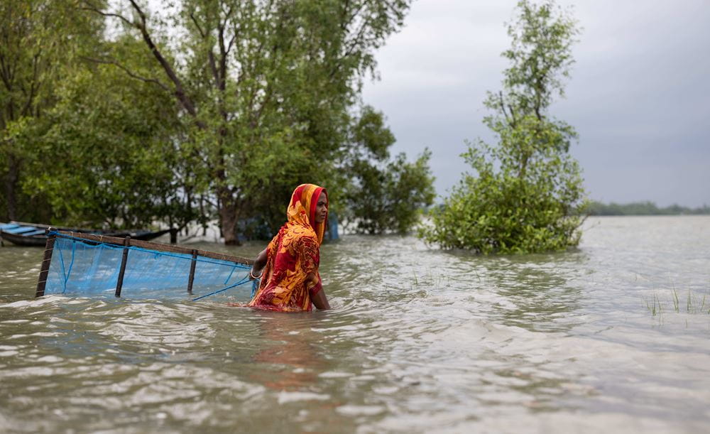 Bangladesch: Eine Shrimpsfischerin watet durch eine überflutete Landschaft (Quelle: Lars Heidrich)