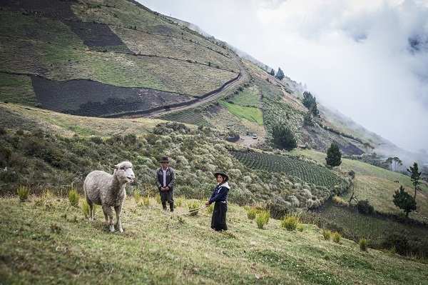 Ein Mädchen, sein Großvater un ein Schaf stehen auf einer steilen Wiese (Quelle: Martin Bondzio)