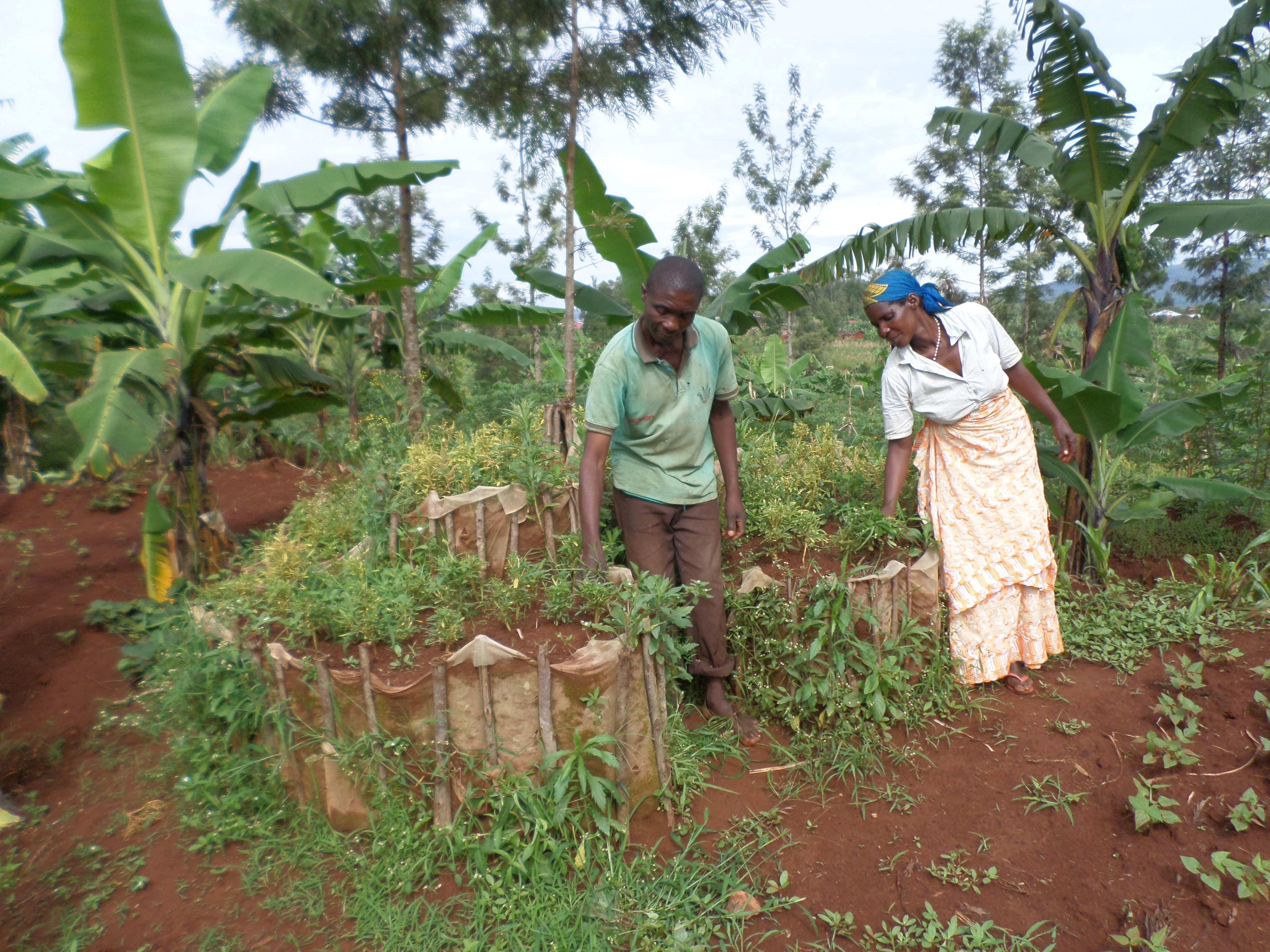 Vitaminreiches Obst und Gemüse aus dem Hausgarten (Foto: Kindernothilfepartner)