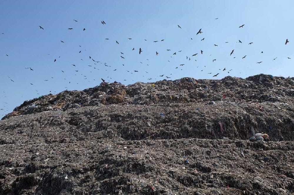 Eine Müllhalde, über der ein Vogelschwarm fliegt (Quelle: privat)