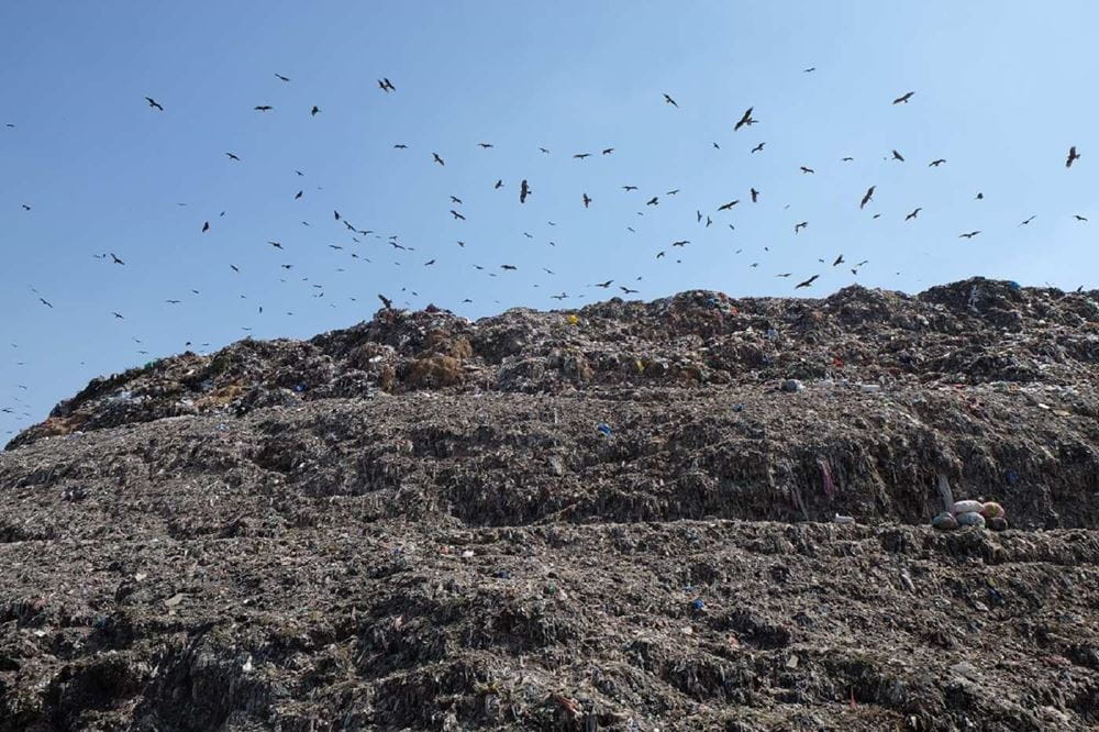 Eine Müllhalde, über der ein Vogelschwarm fliegt (Quelle: privat) Eine Müllhalde, über der ein Vogelschwarm fliegt (Quelle: privat)