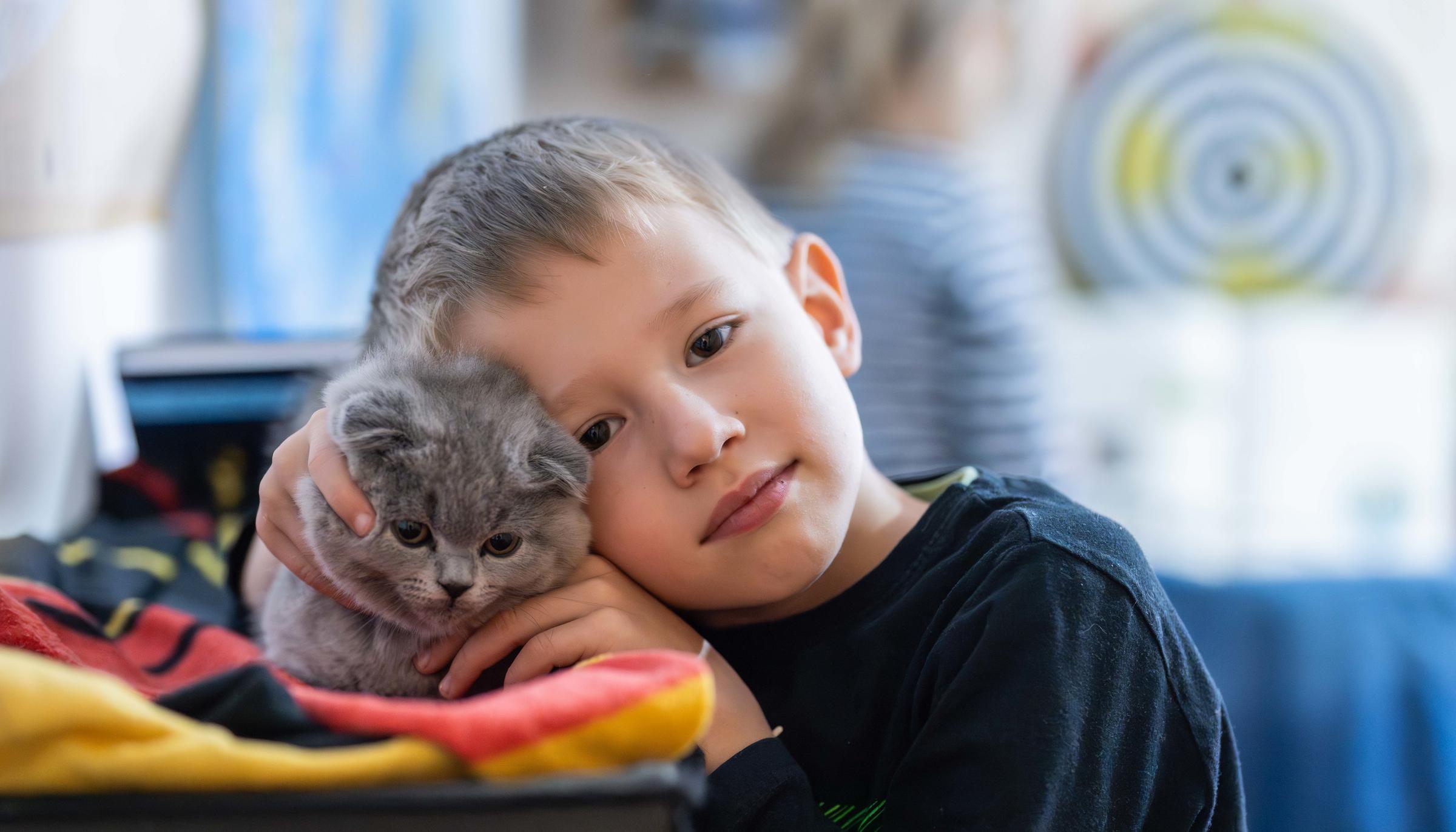 Ein Junge schmust mit einer kleinen Katze (Quelle: Jakob Studnar) Ein Junge schmust mit einer kleinen Katze (Quelle: Jakob Studnar)