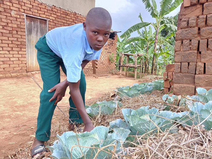 Ein Junge aus Uganda arbeitet in seinem Garten. (Quelle: Katharina Drzisga)