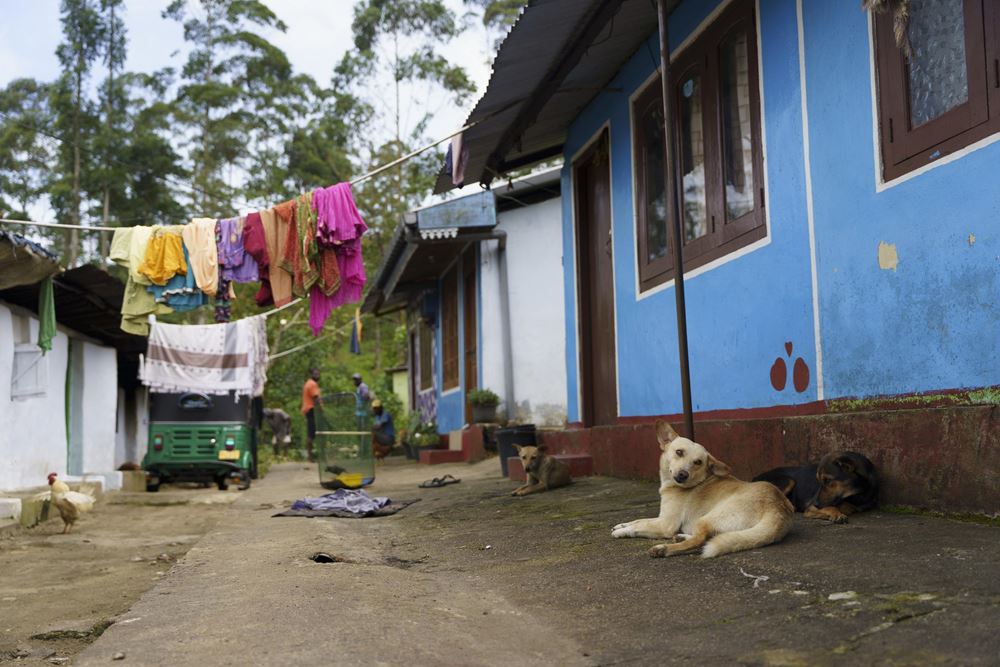 Eine Gasse mit Hund und einer Wäscheleine über der Straße (Quelle: Christian Nusch)