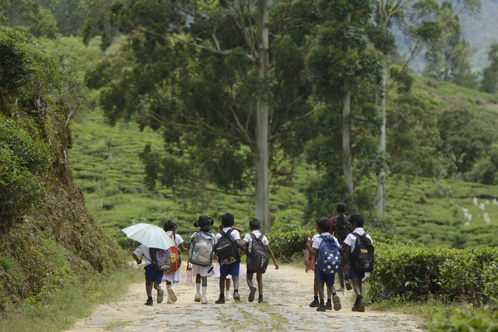 Sri Lanka: Kinder auf dem Weg zur Schule (Quelle: Christian Nusch) Sri Lanka: Kinder auf dem Weg zur Schule (Quelle: Christian Nusch)