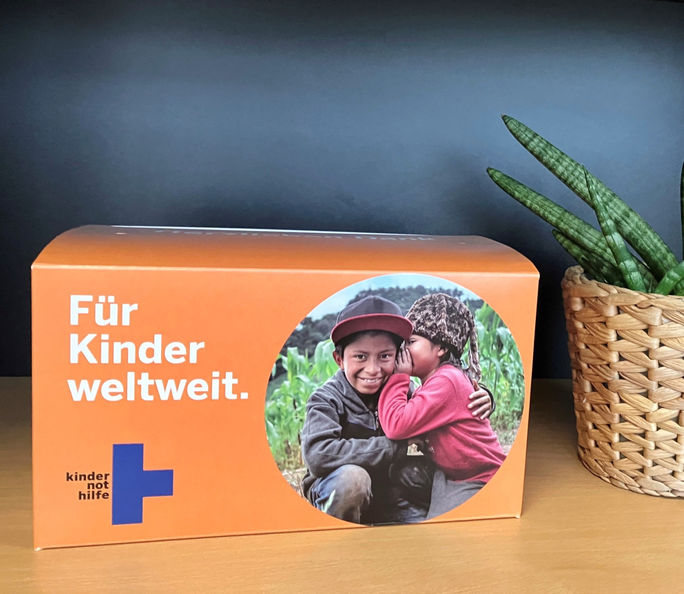 Aktions-Spendenbox (Quelle: Kindernothilfe) Aktions-Spendenbox (Quelle: Kindernothilfe)