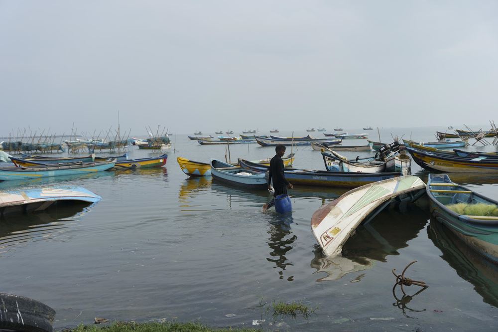 Sri Lanka allgemein - Reise Nickoleit/Nusch 2023 Sri Lanka allgemein - Reise Nickoleit/Nusch 2023