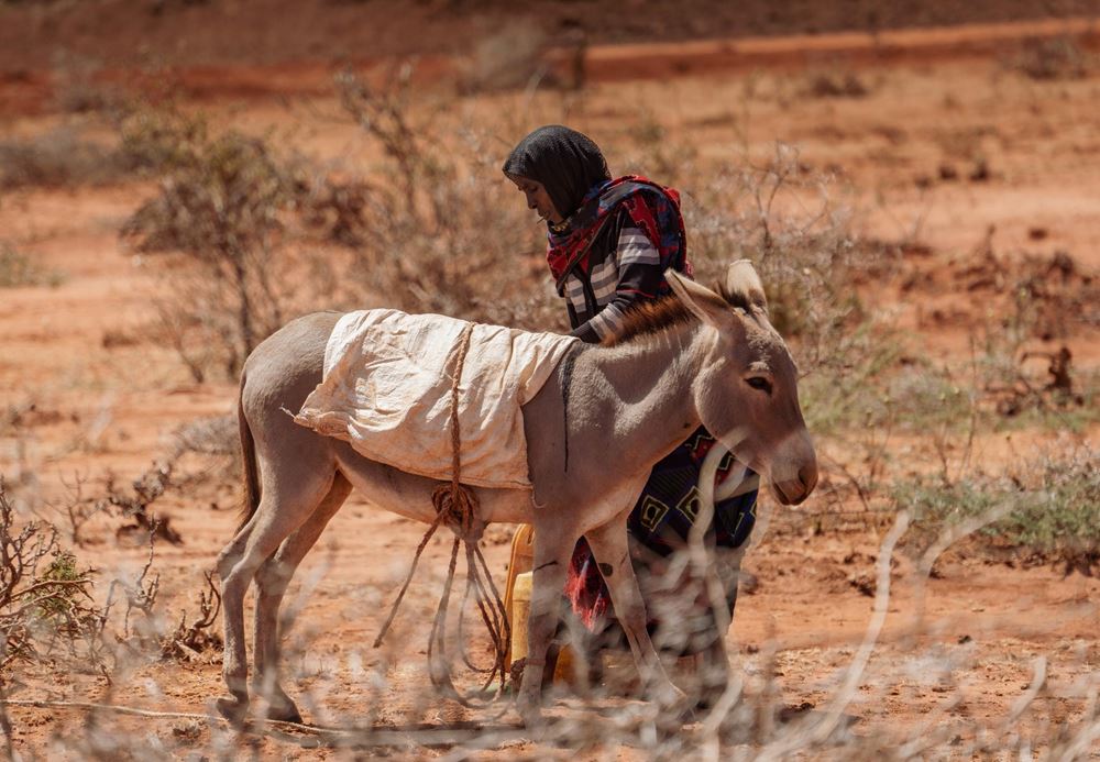 Eine Frau mit Esel in Äthiopien an einer Wasserstelle (Quelle: Jakob Studnar) Eine Frau mit Esel in Äthiopien an einer Wasserstelle (Quelle: Jakob Studnar)