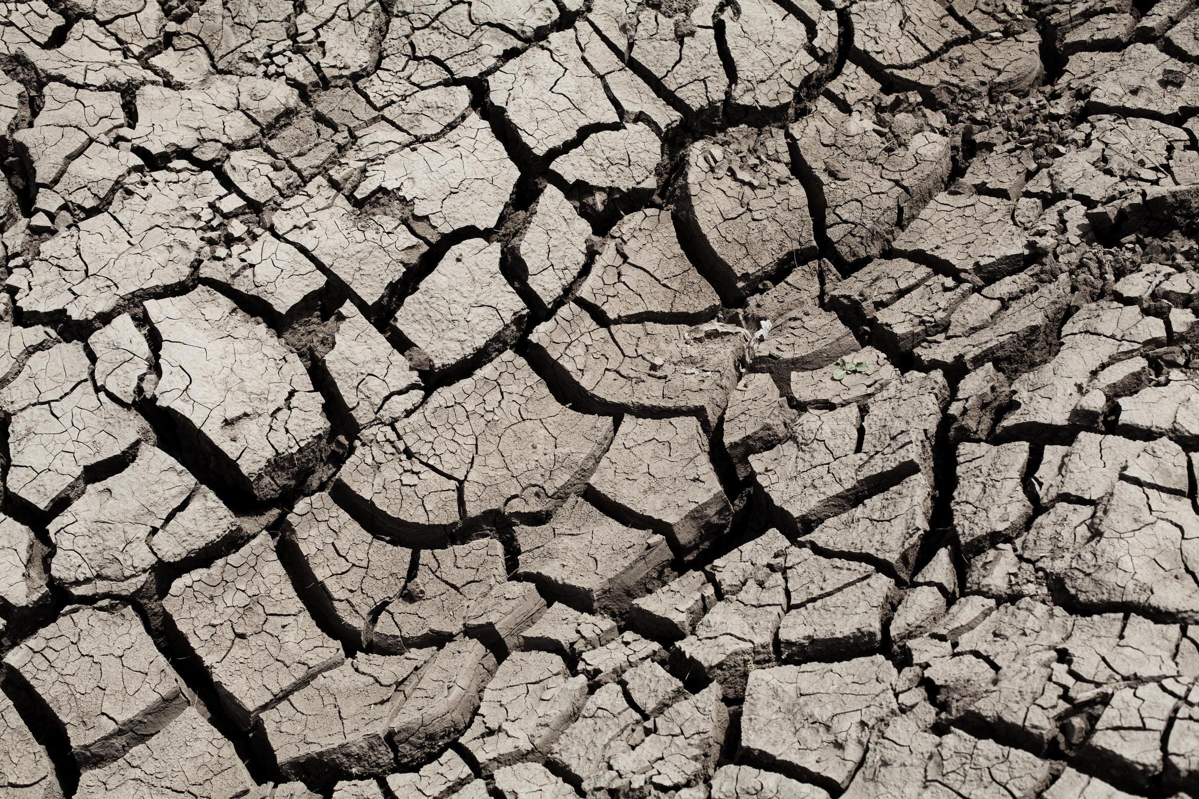 Trockener und rissiger Boden