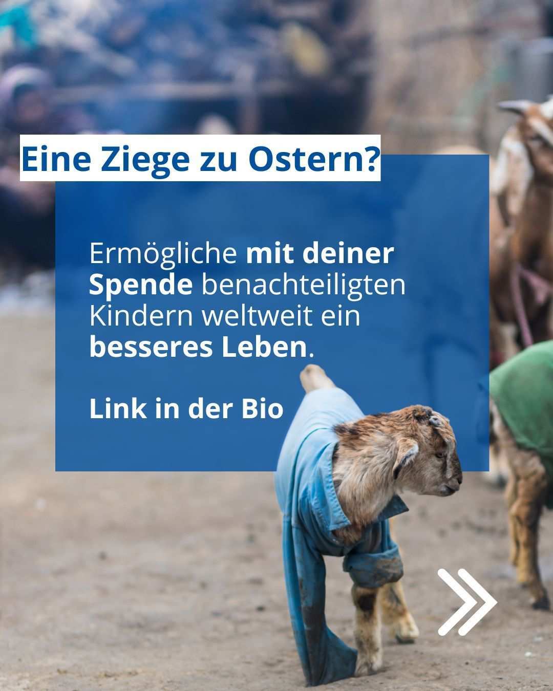 Instagram Post Osterspende