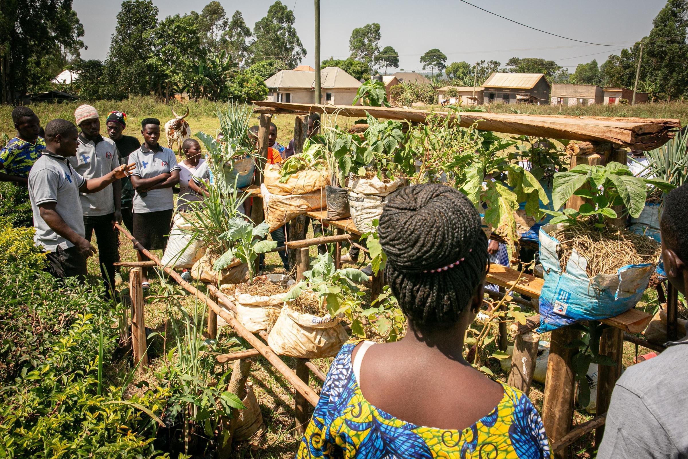 Praxisunterricht im Rahmen des Mobile Farm School Programms (Quelle: Sascha Montag)
