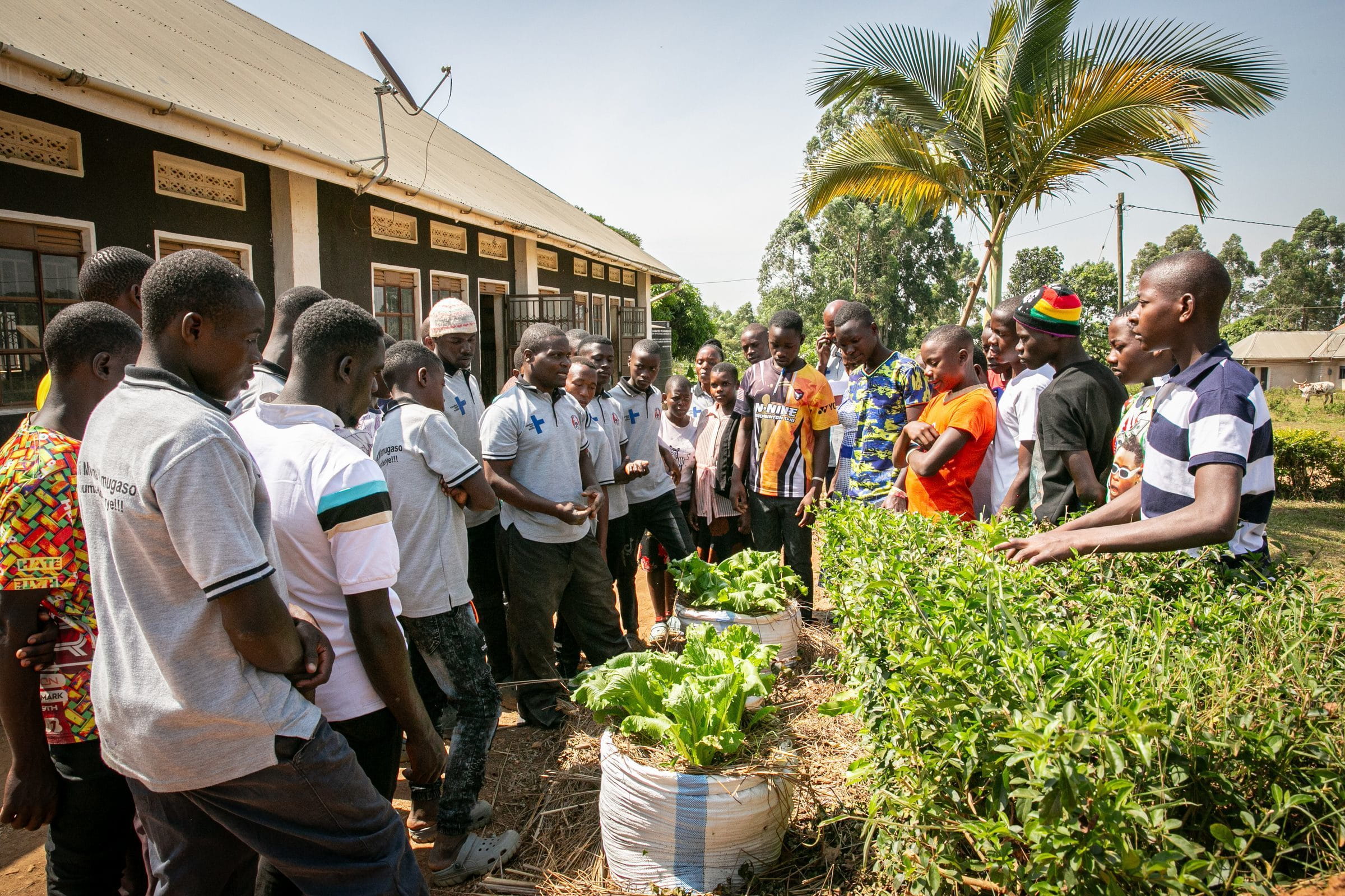 Praxisunterricht im Rahmen des Mobile Farm School Programms in Uganda (Quelle: Sascha Montag) Praxisunterricht im Rahmen des Mobile Farm School Programms in Uganda (Quelle: Sascha Montag)