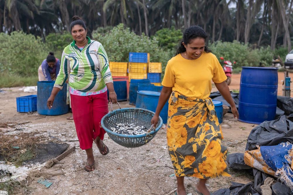 Gemeinsame Aktivitäten einer Selbsthilfegruppe in Sri Lanka: Zwei Frauen tragen einen Korb mit Fischen (Quelle: Sharni Jayawardena/Kindernothilfe) Gemeinsame Aktivitäten einer Selbsthilfegruppe in Sri Lanka: Zwei Frauen tragen einen Korb mit Fischen (Quelle: Sharni Jayawardena/Kindernothilfe)