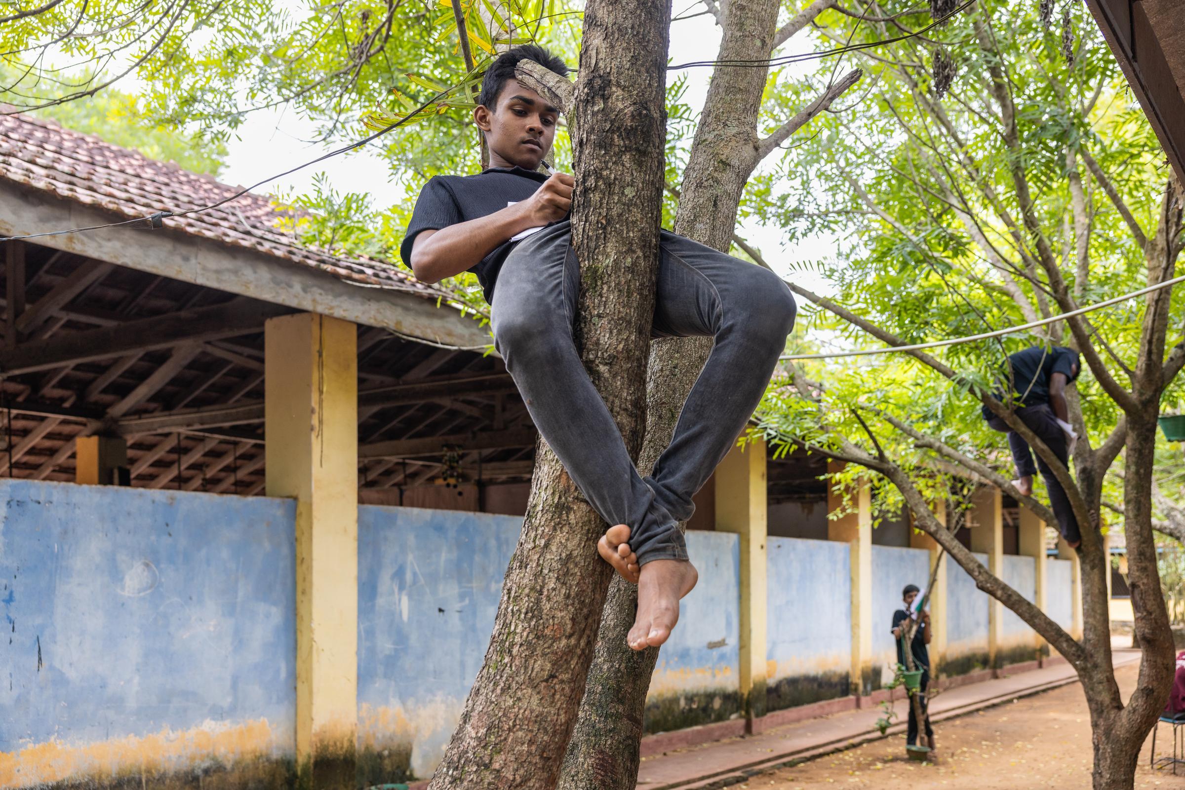 Dem Baum zuhören, seinen Worten nachspüren – für diese besondere Übung im Theaterworkshop klettert Ithira (15) die Äste hinauf. Foto: Sharni Jayawardena