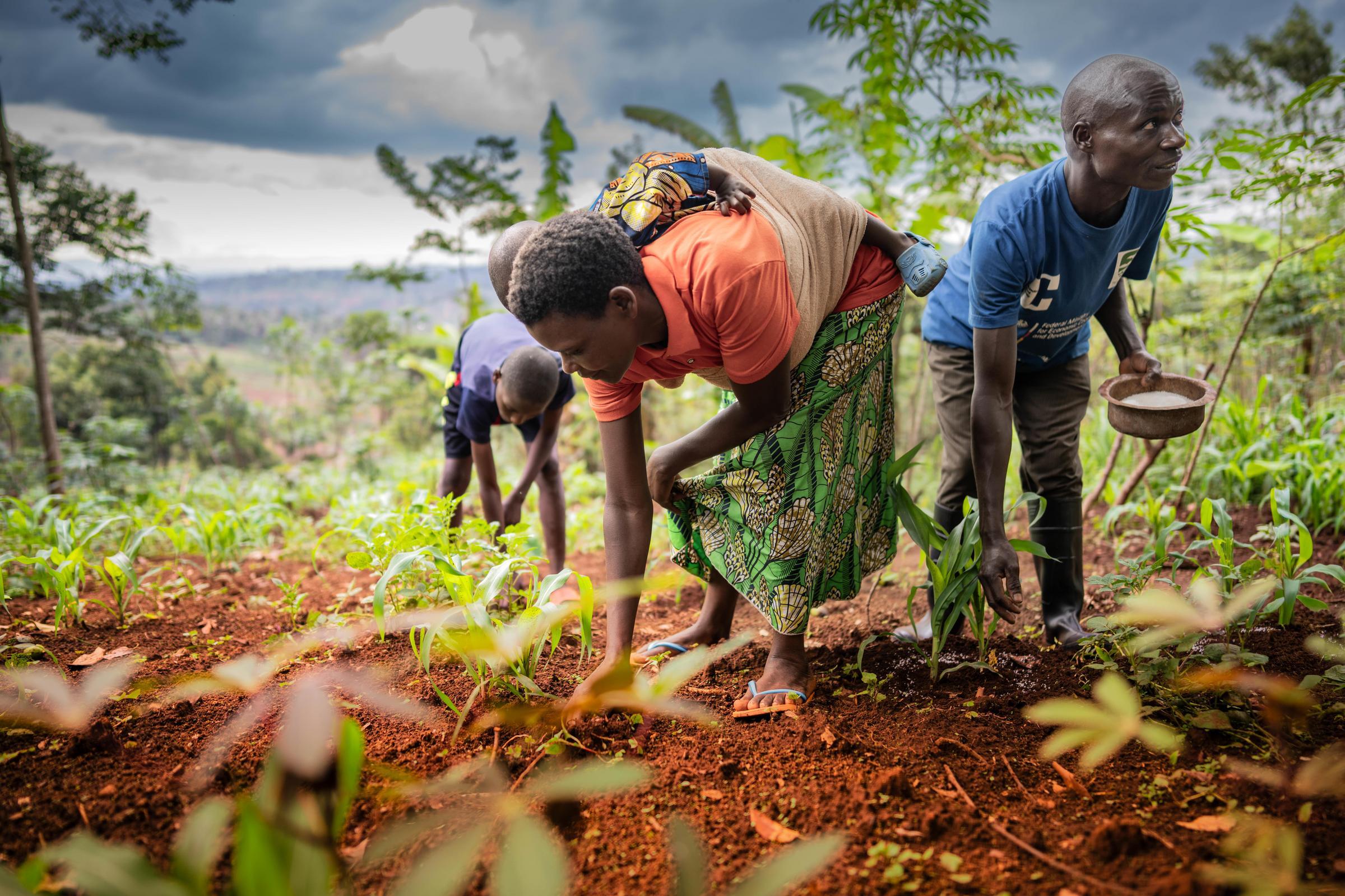 Familie Nahimana bei der Arbeit auf ihrem Feld in Nzove Hill, Burundi. (Quelle: Jakob Studnar)