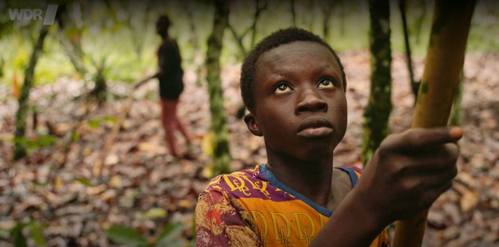Zwei Jungen arbeiten auf einer Kakaoplantage (Quelle: WDR) Zwei Jungen arbeiten auf einer Kakaoplantage (Quelle: WDR)