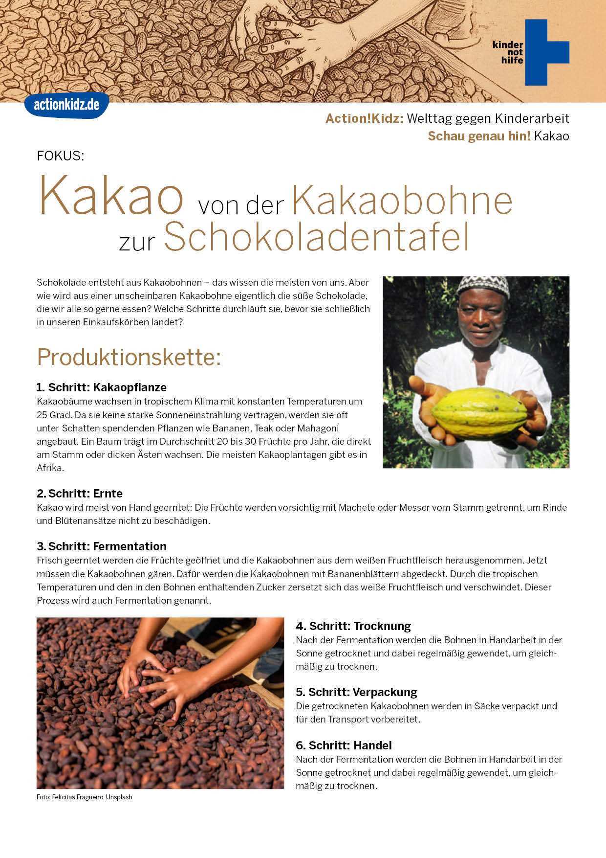 Titelbild: Basisinformationen zur Kakaoindustrie