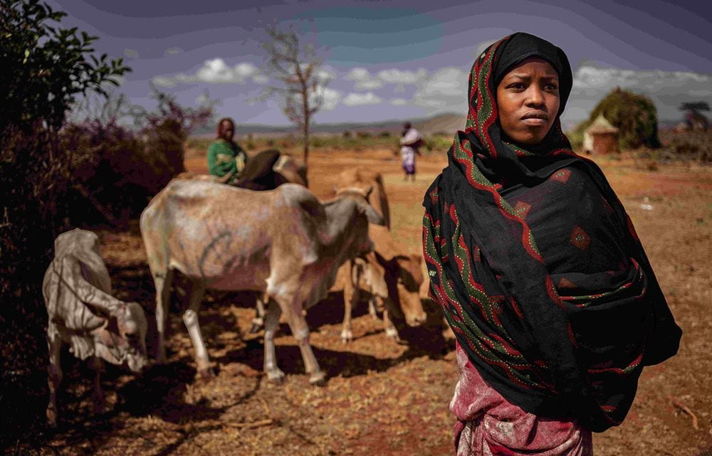 Ein Mädchen mit ihren Rindern (Quelle: Jakob Studnar)
