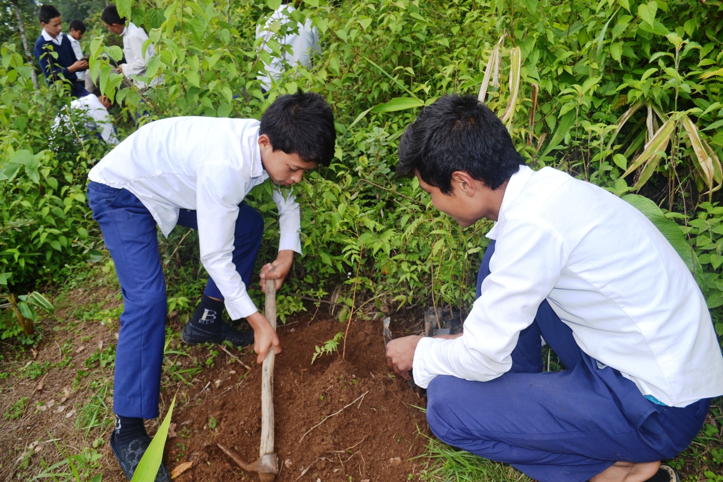 Zwei Jungen arbeiten in einem Schulgarten. (Quelle: Karl Andersson)