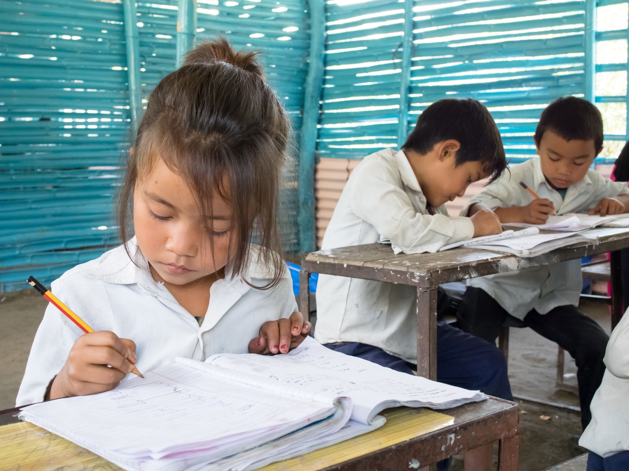Ein Mädchen sitzt in der Schule und schreibt. (Quelle: Steven Davies)