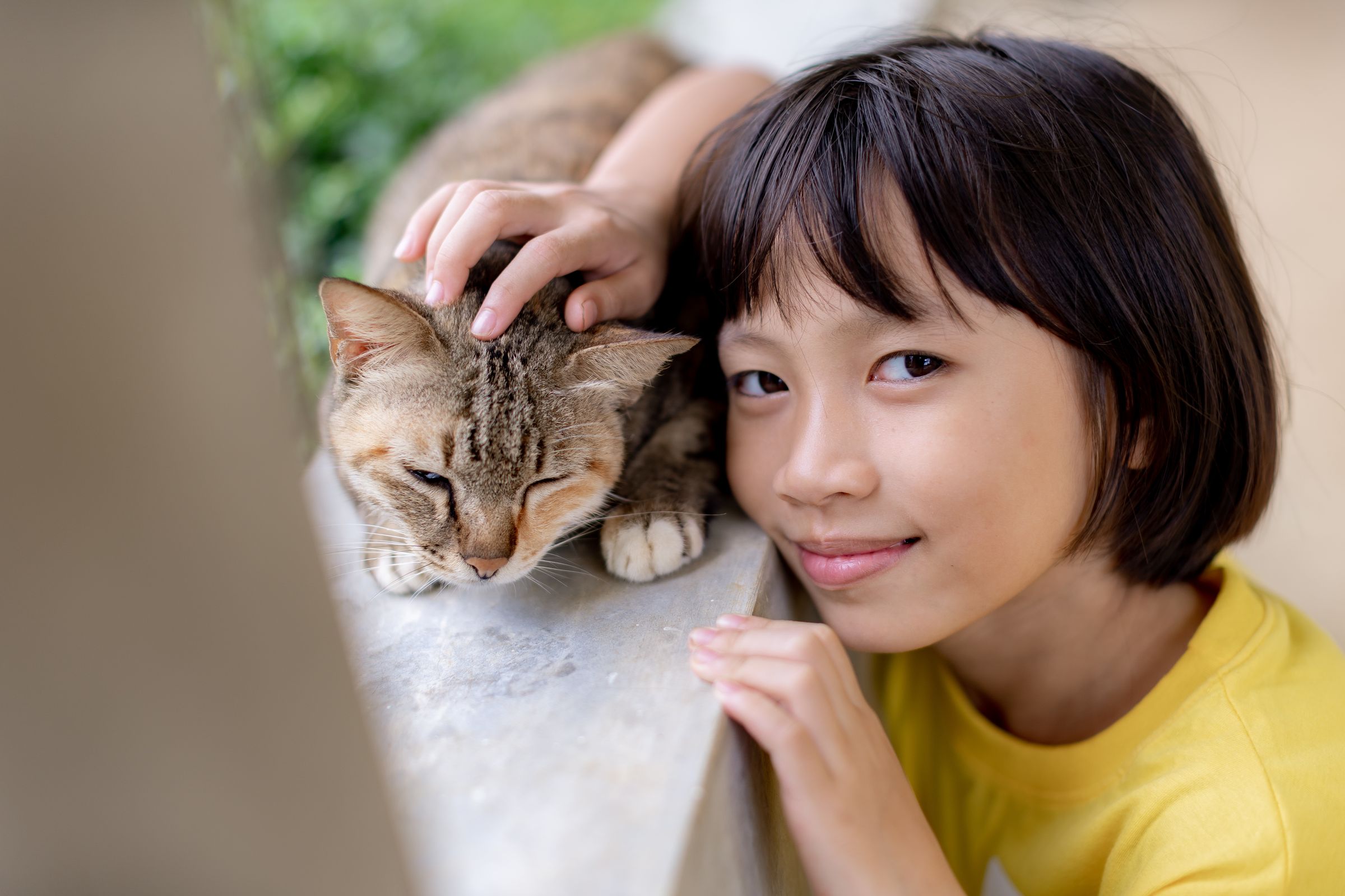 Ein Mädchen in gelbem T-Shirt streichelt eine braune Katze. (Quelle: Jakob Studnar)