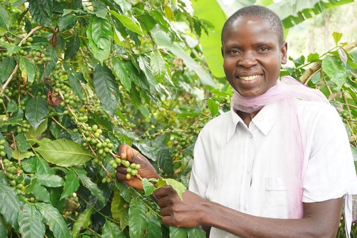 Eine Frau aus einer Selbsthilfegruppe in Uganda vor einem Kaffestrauch. (Quelle: Ludwig Grunewald) Eine Frau aus einer Selbsthilfegruppe in Uganda vor einem Kaffestrauch. (Quelle: Ludwig Grunewald)