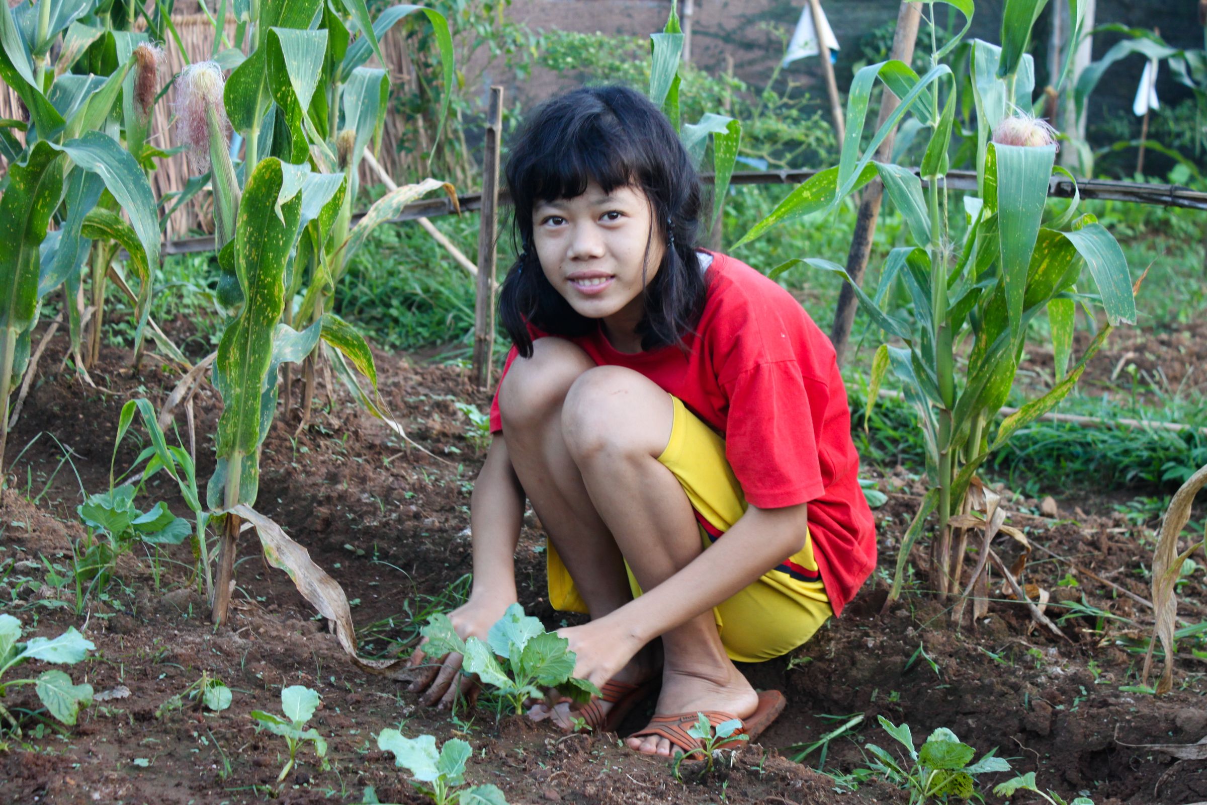 Ein Mädchen aus Thailand hockt auf einem Feld und zupft Unkraut. (Quelle: Diego Curvo) Ein Mädchen aus Thailand hockt auf einem Feld und zupft Unkraut. (Quelle: Diego Curvo)