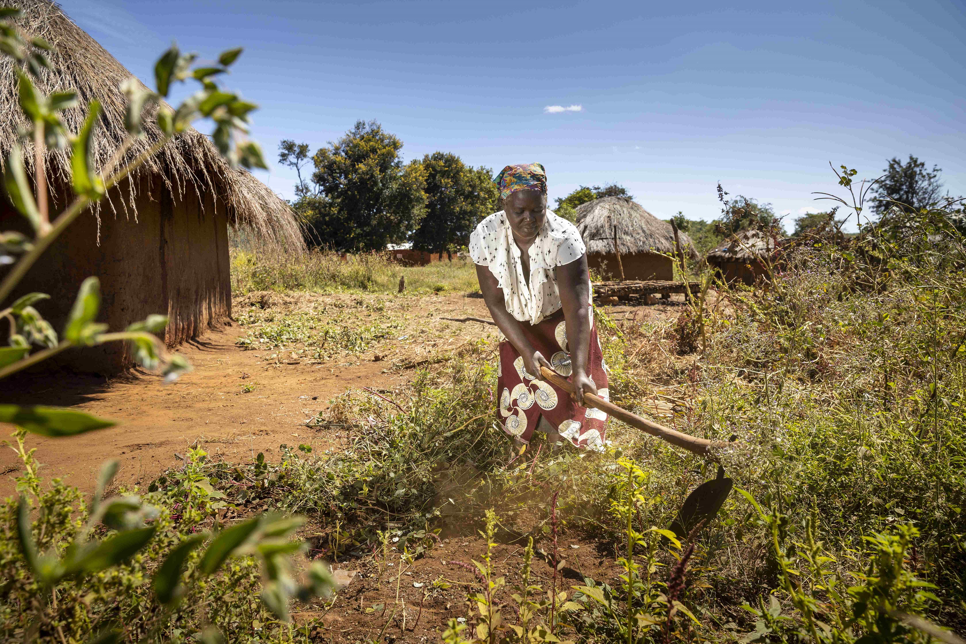 Eine Frau aus Sambia steht auf ihrem Feld und bearbeitet den Boden. (Quelle: Christian O. Bruch)