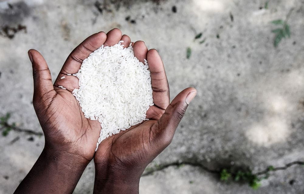 Reis, der in einer geöffneten Hand liegt (Quelle: Kindernothilfe)