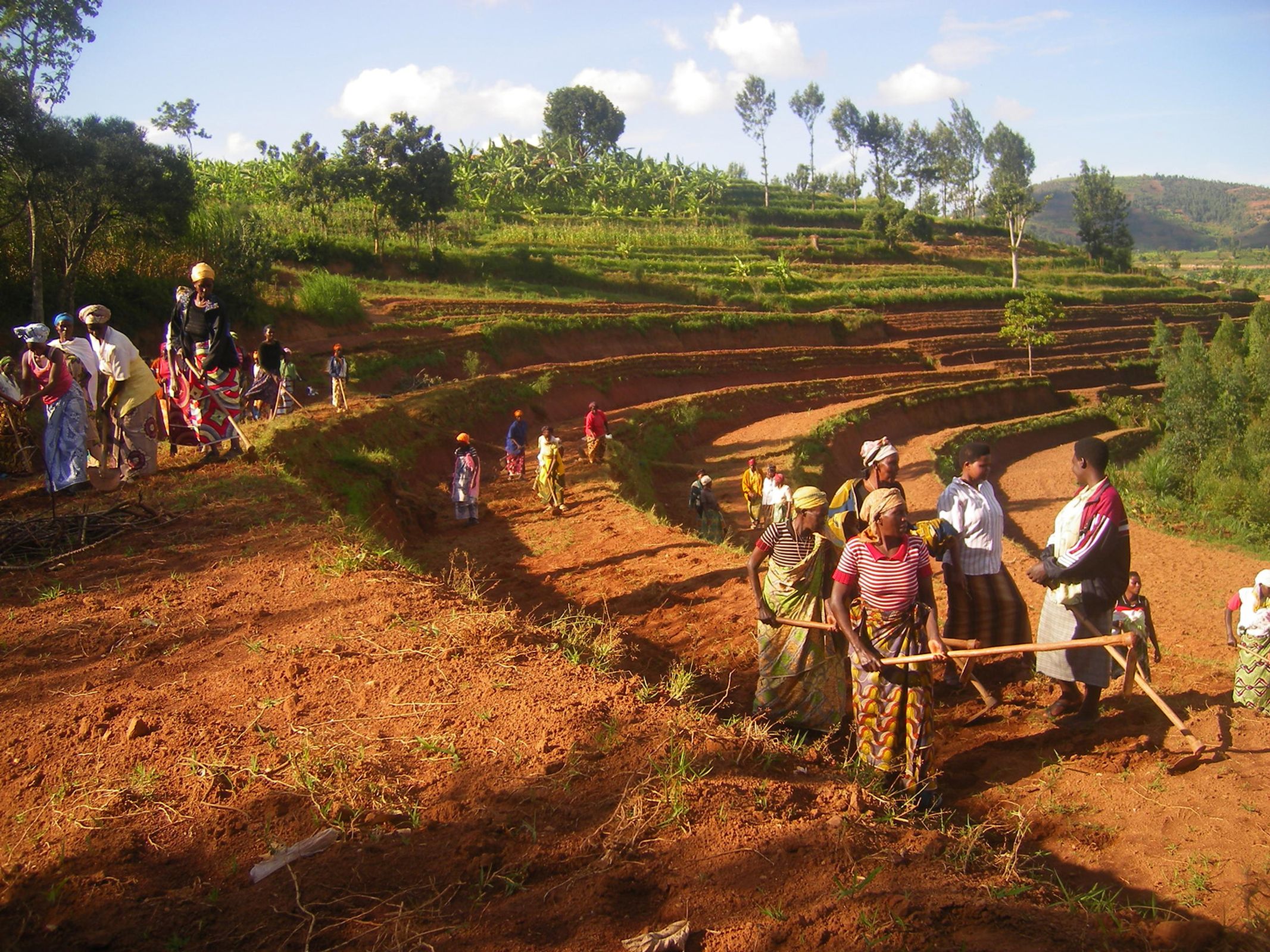 Frauen bei der Feldarbeit in Ruanda. (Quelle: Kindernothilfe)
