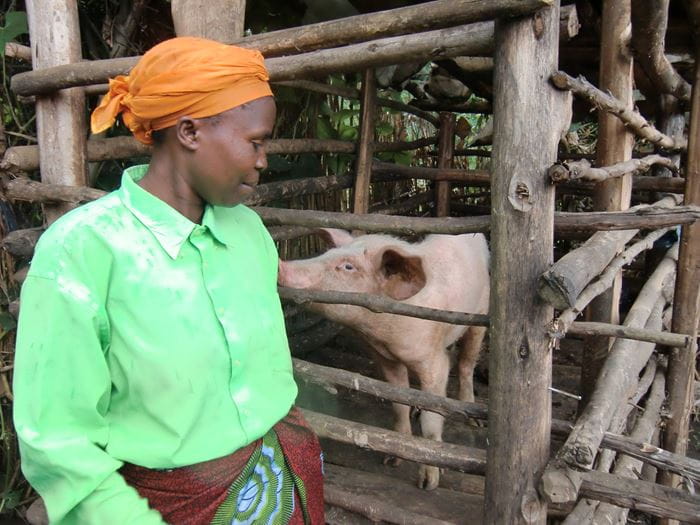 Eine Frau aus Ruanda steht vor einem Stall, in dem ein Schwein steht. (Quelle: Dr. Eberhard Gohl)