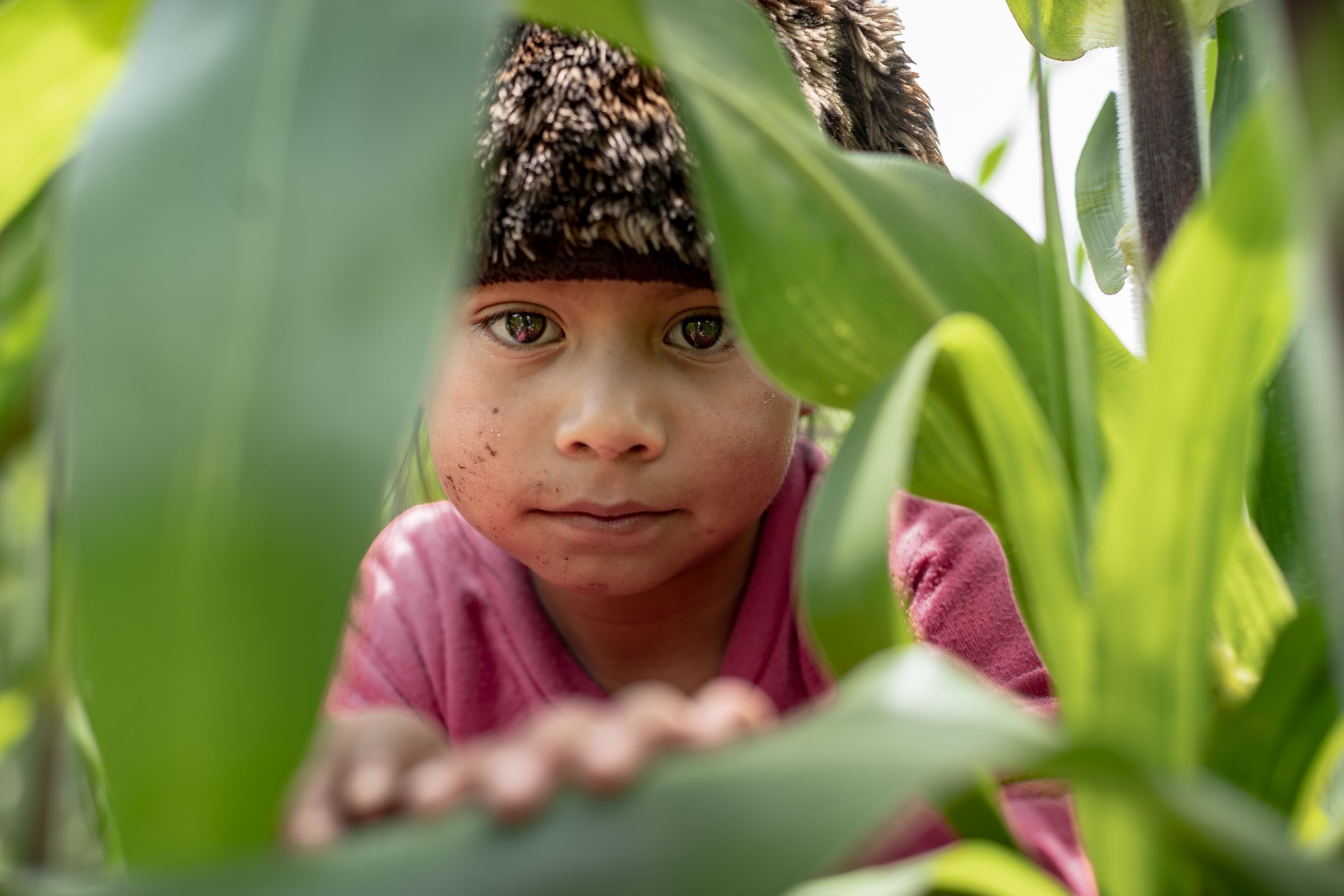 Ein Mädchen in Guatemala schaut schüchtern hinter einem Strauch hervor. (Quelle: Jakob Studnar)
