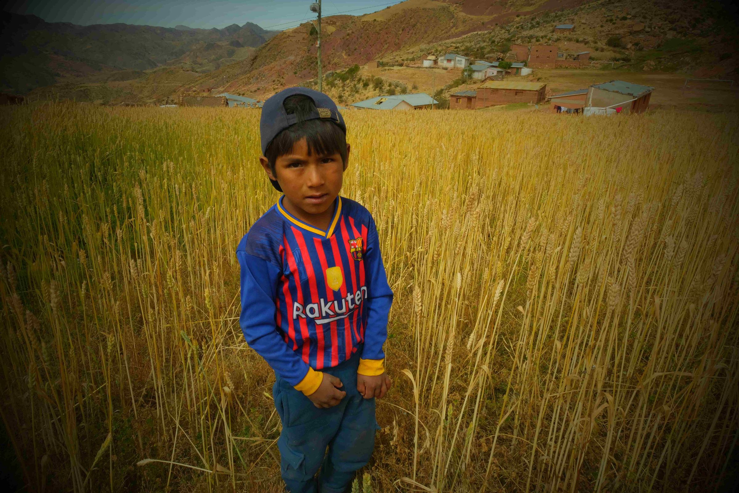 Ein Junge steht inmitten eines Weizenfeldes und schaut ernst drein. (Quelle: Mauricio Vera)